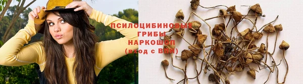бошки Алексин